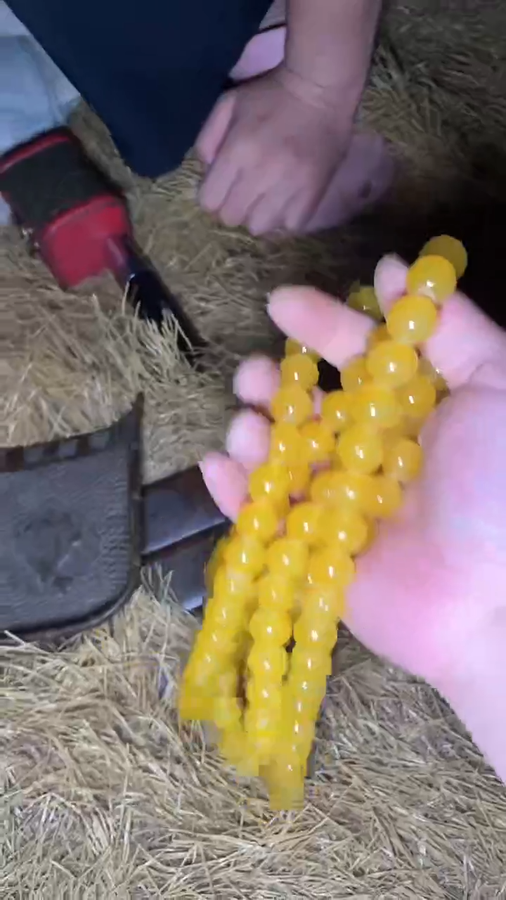 香榧木{闪购链接}墨序甄选  黄色朝珠