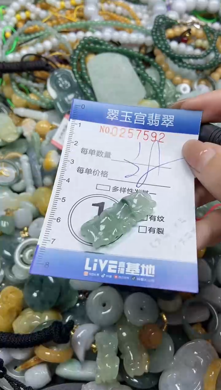 颈饰未镶嵌翡翠闪购C0257592