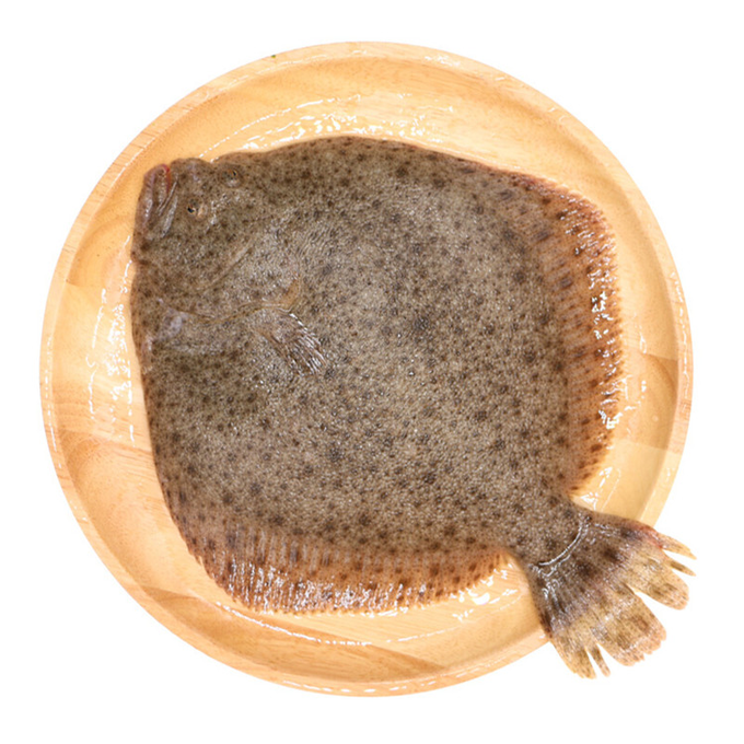 【下单现捞】多宝鱼1条 约350-400g