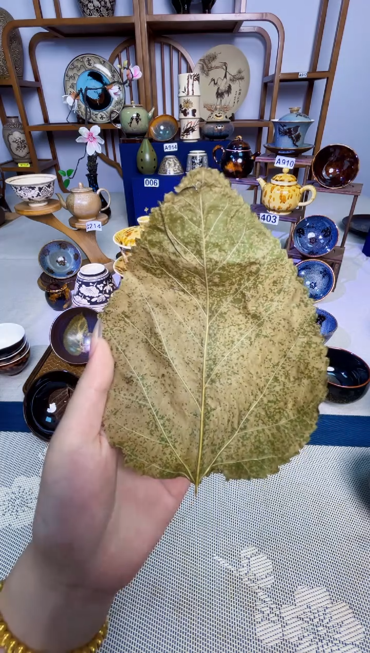 w*【特价真叶入盏1300度】非遗大师手工高温瓷特价款