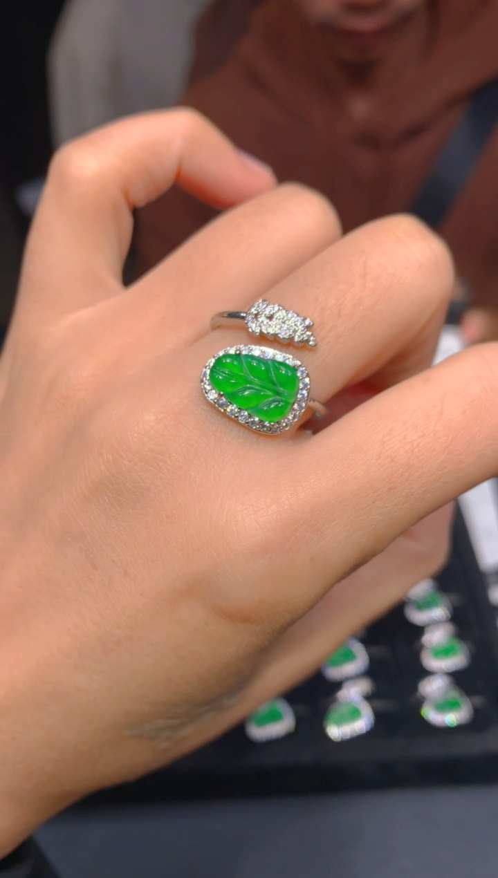 【闪购商品】定制翡翠未镶嵌13多样性发货（发其一）