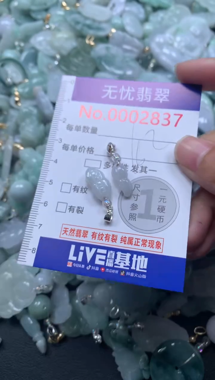 颈饰未镶嵌翡翠2837