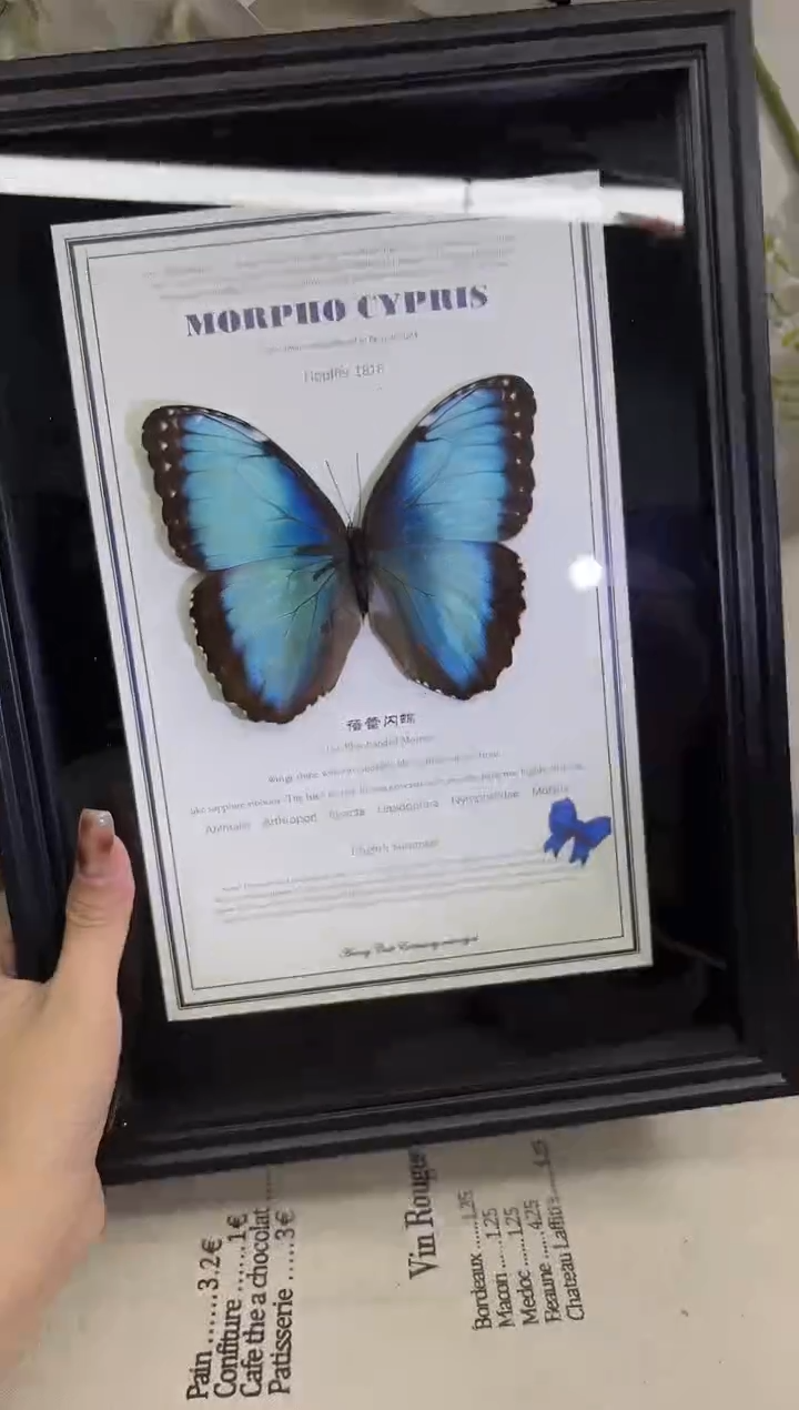 闪蝶瑕疵盲盒处理