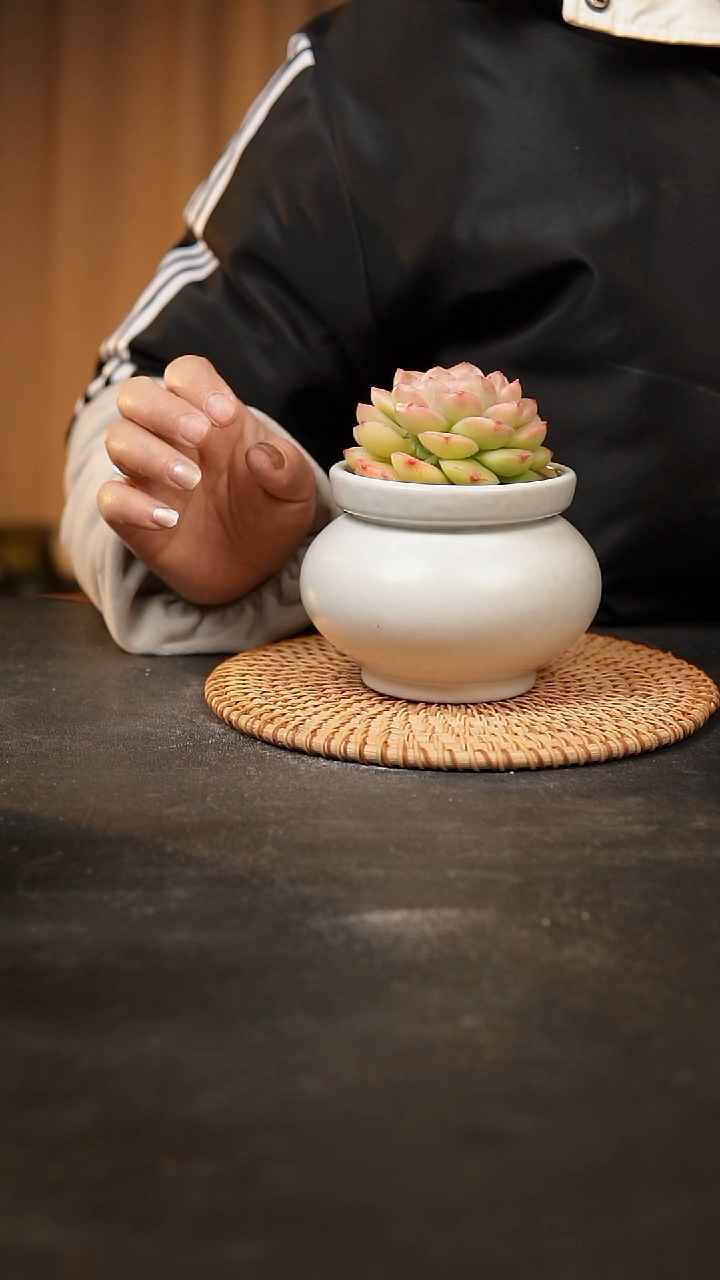 【闪购商品】瓷片泥泥手工花盆