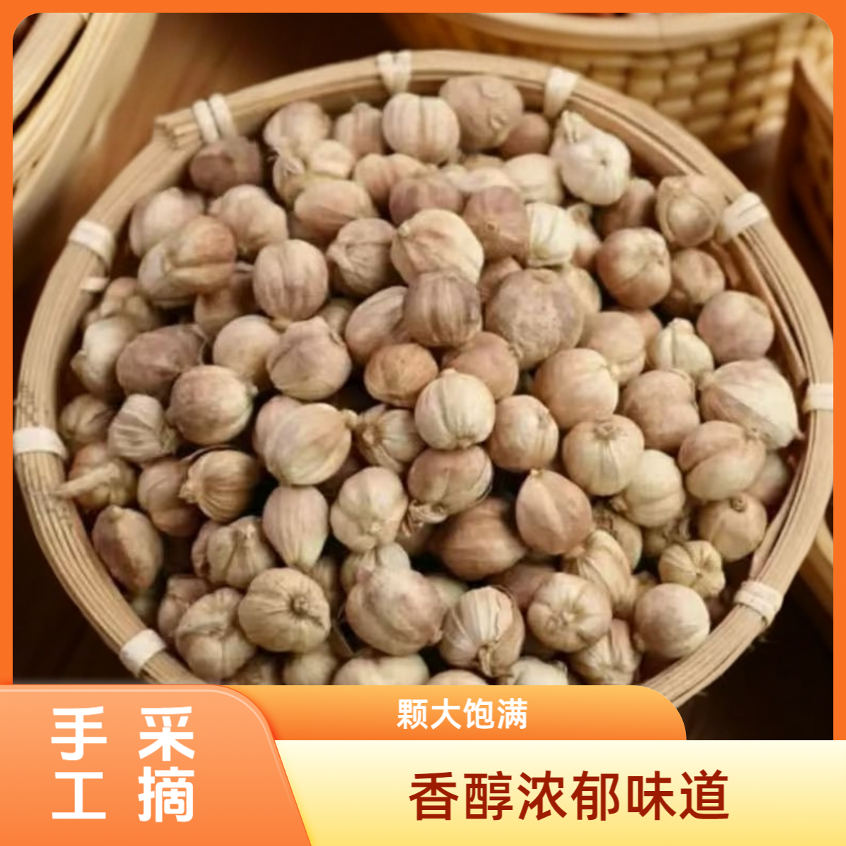 正宗白蔻白豆蔻纯干白豆蔻白蔻家用白扣炖肉调味料