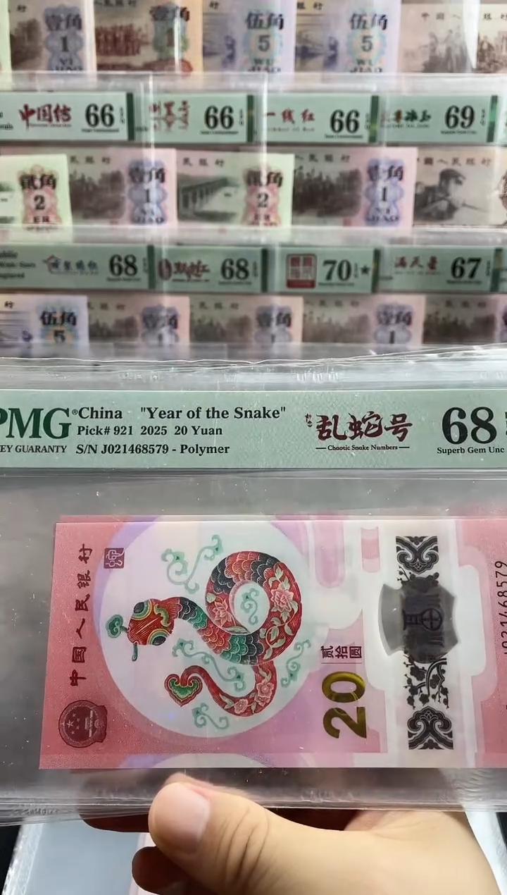 塑料蛇钞如意乱蛇号68分