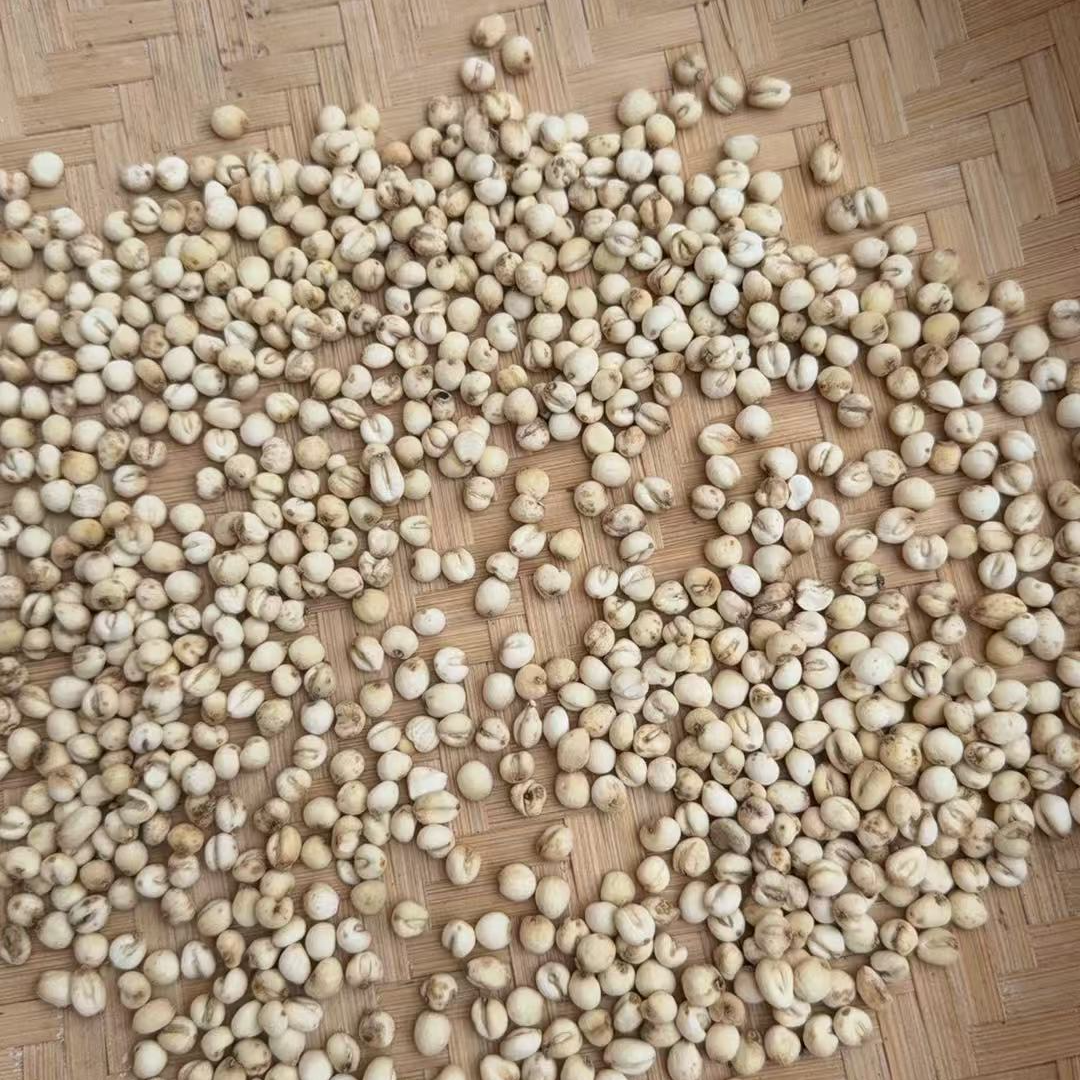 a甄选特产原色贝母50g/100g