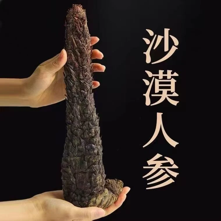 整根内蒙古阿拉善沙漠肉苁蓉 油苁蓉 自然生长可泡水泡酒煮水煲汤