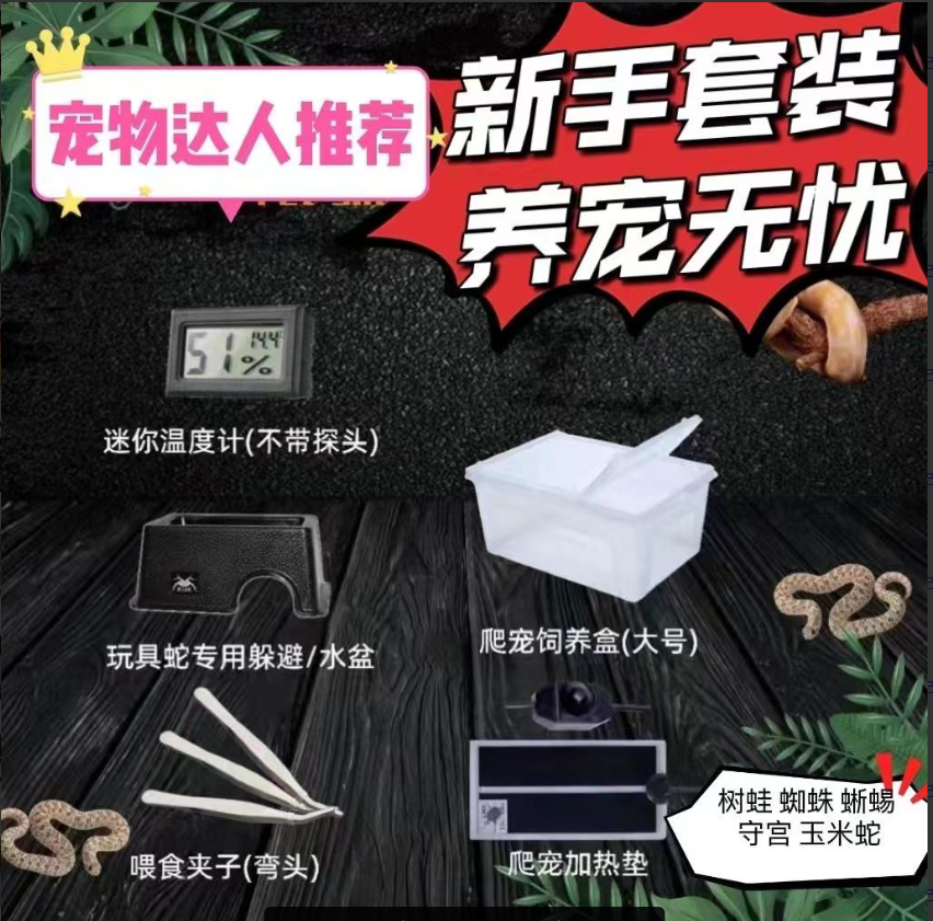 宠物蛇饲养适合宠物蛇玉米蛇王蛇猪鼻蛇饲养箱爬箱守宫箱子