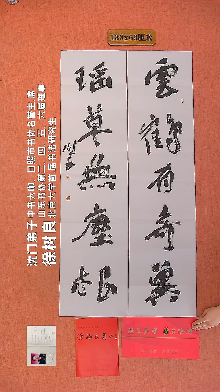 【闪购商品】书法29        徐树良书法作品