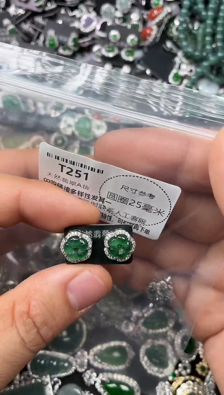 翡翠未镶嵌颈饰T251耳钉