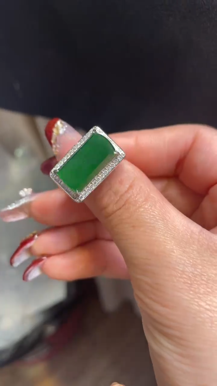 【闪购商品】翡翠颈饰未镶嵌      *210