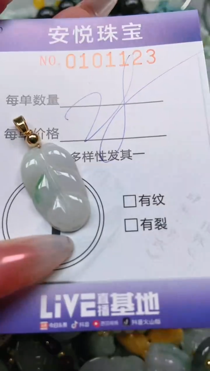 【闪购商品】翡翠颈饰未镶嵌闪购0101123