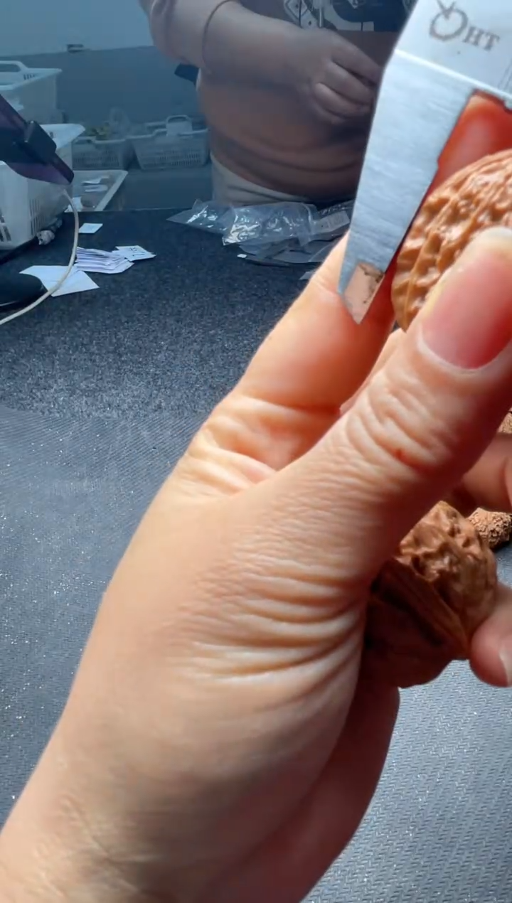 把件文玩核桃w255   白狮子 37尺