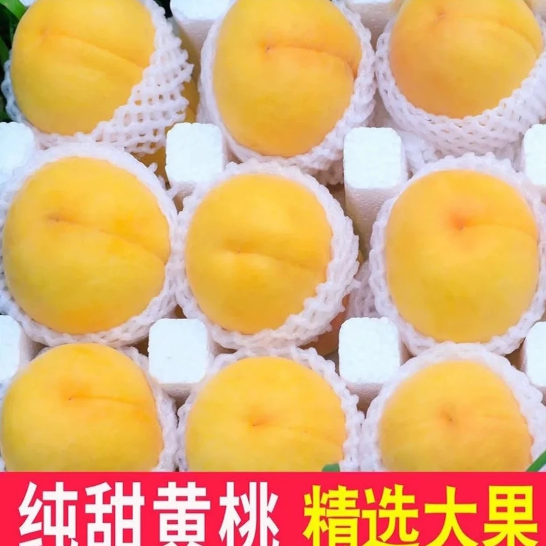 【现摘现发】黄毛桃鲜水果桃子孕妇毛桃黄金蜜桃京东/顺丰