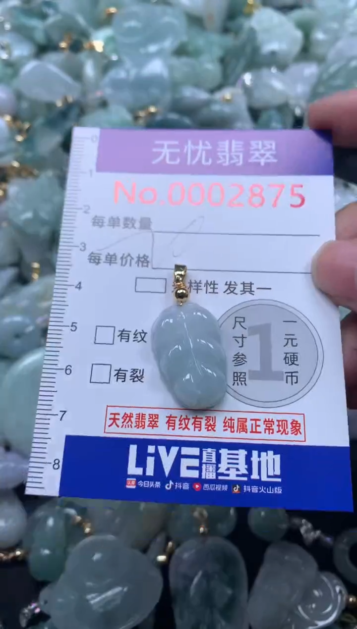 颈饰未镶嵌翡翠2875