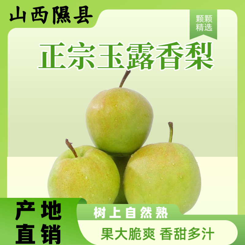 山西特产隰县小西天玉露香梨全胭脂红面（出口标准）礼盒装