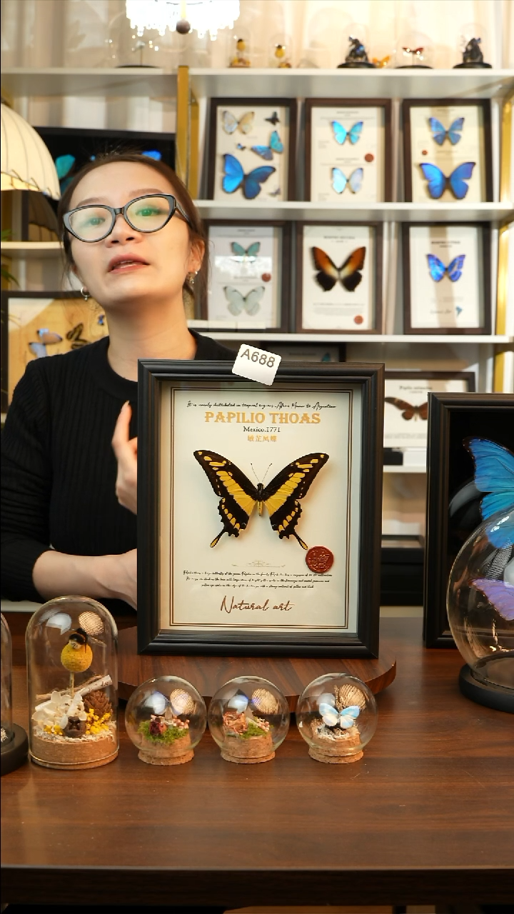 敏芷凤蝶-英文（10寸欧式黑框）A688