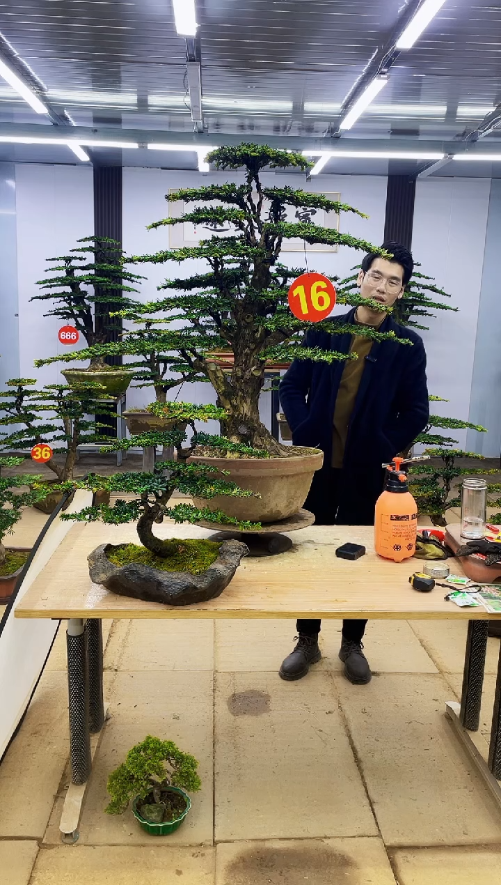 无花朵汽****塞0000000000000000