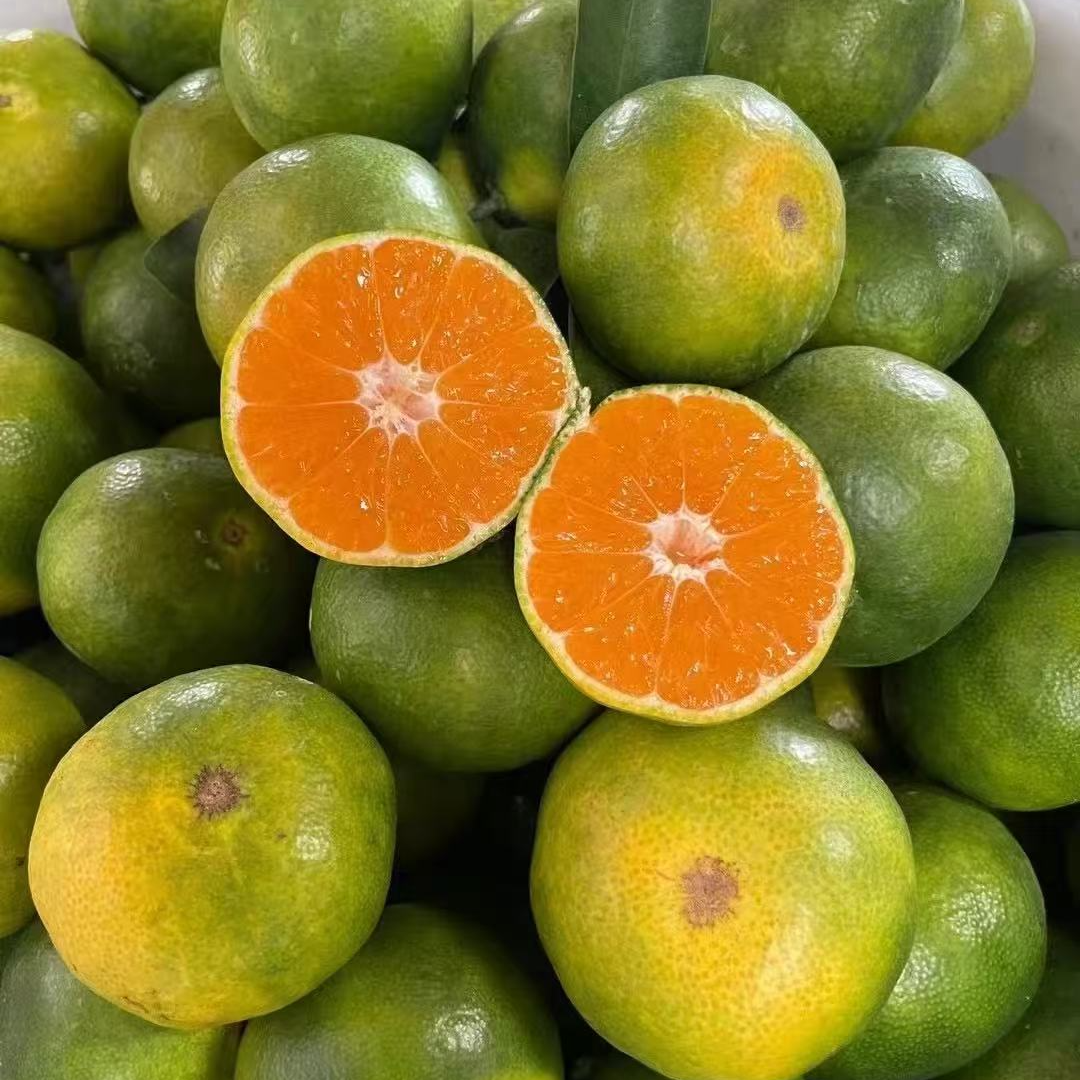 【达吾水果】赣南寻乌蜜桔毛重5斤装