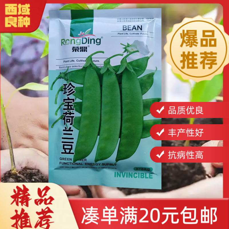 【80g珍宝荷兰豆】白花荷兰豆种子，结荚多，口感好