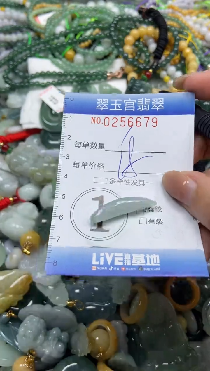 颈饰未镶嵌翡翠闪购C0256679