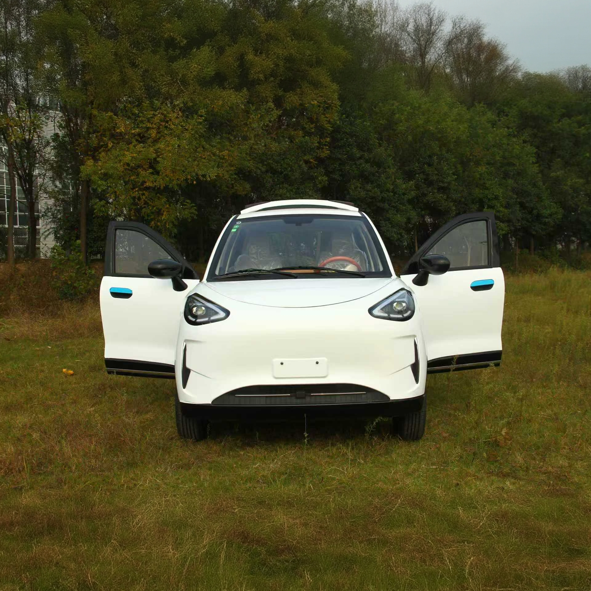 【工厂直销】星愿四轮电动车老头乐全封闭老头乐电动车2025年最新款