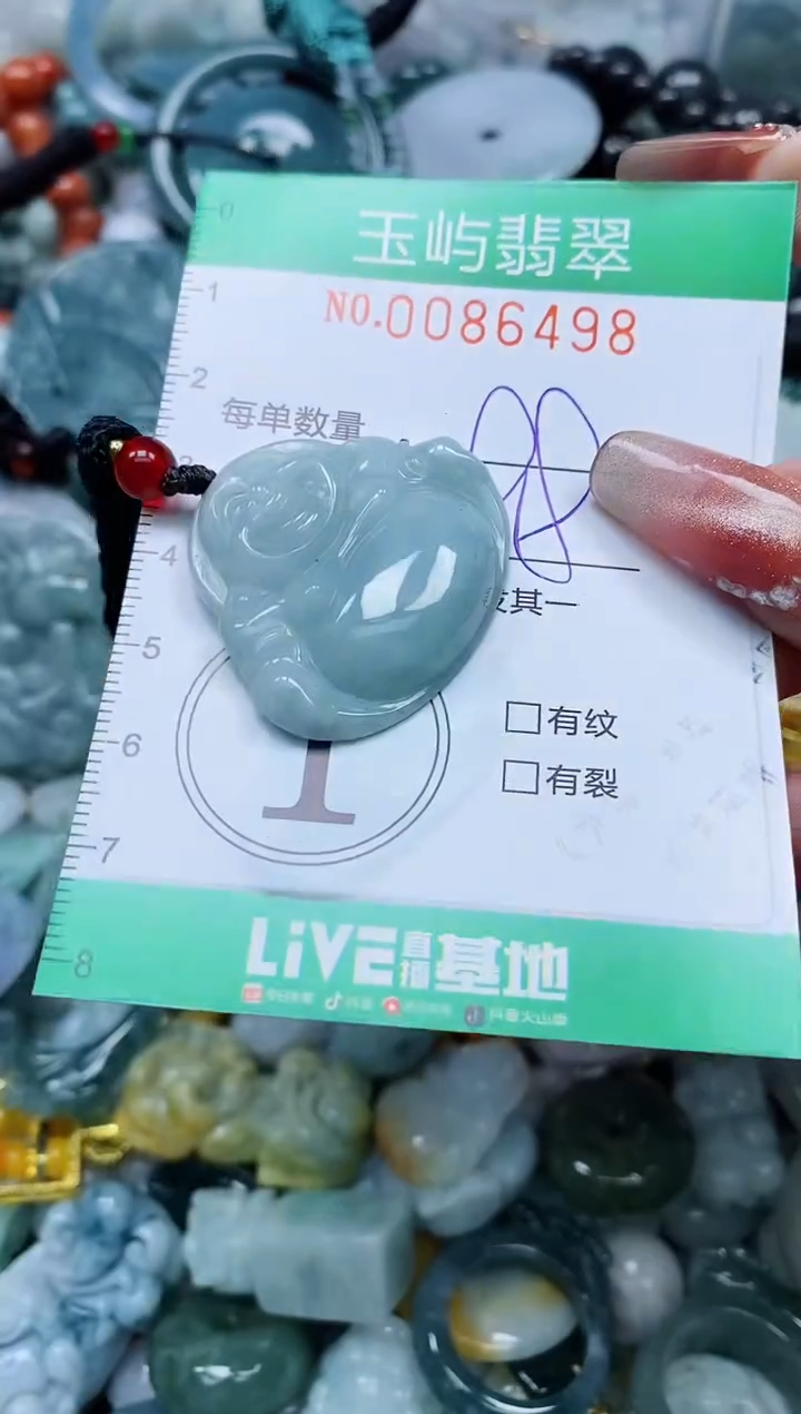 【闪购商品】翡翠颈饰未镶嵌闪购0086498