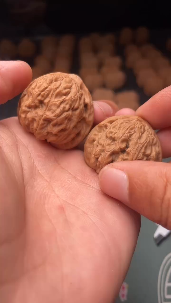 核桃a101  金牛   37尺