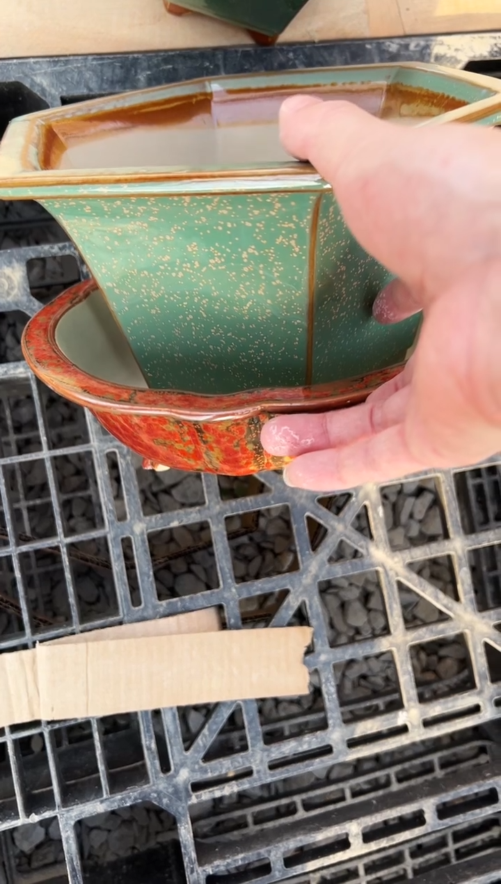 阿***波27号+53号两个微瑕的