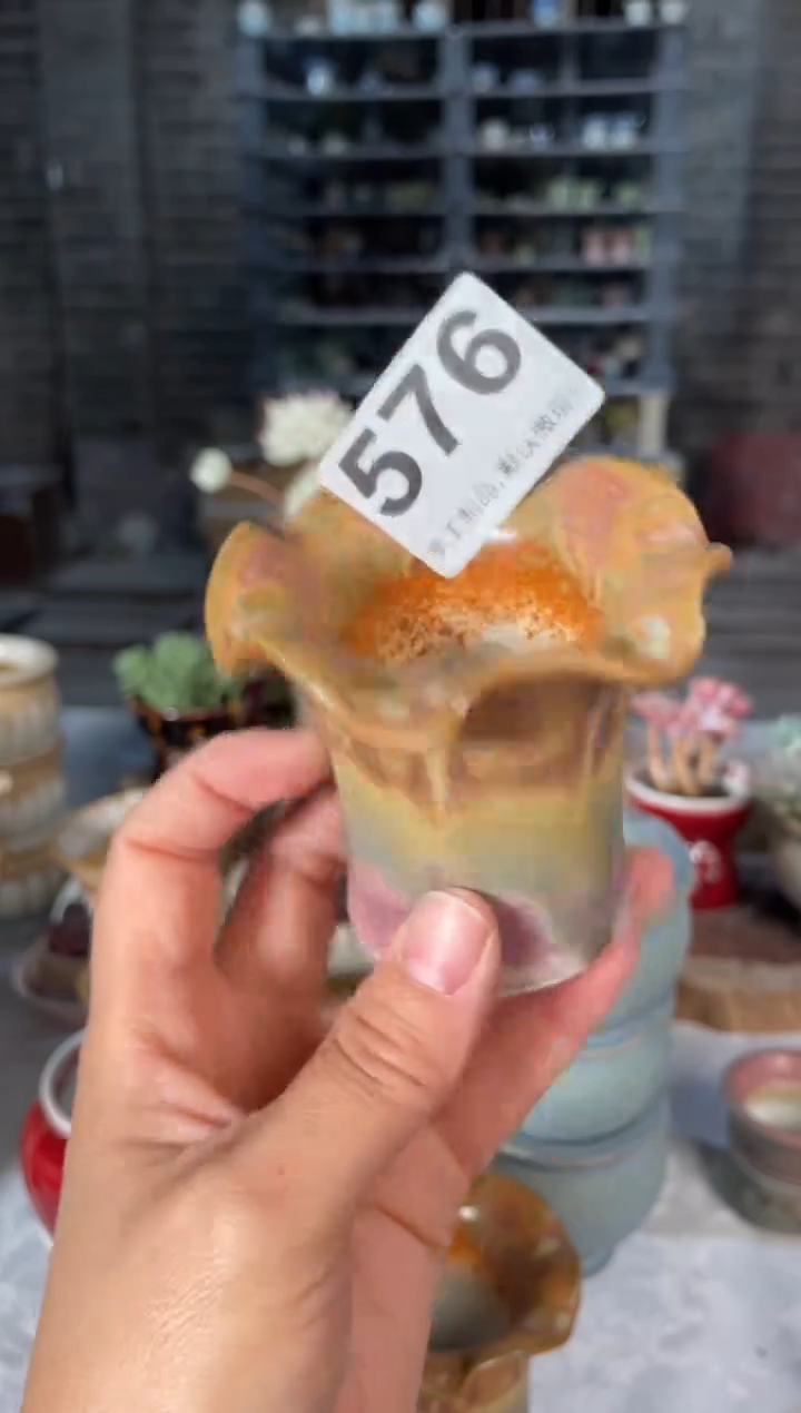 瓷片576小芳直播编号