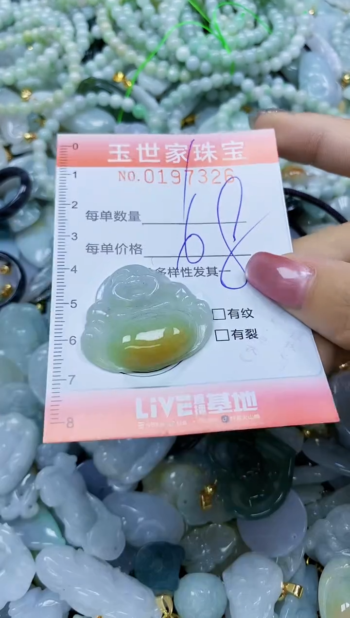 【闪购商品】翡翠颈饰未镶嵌闪购0197326
