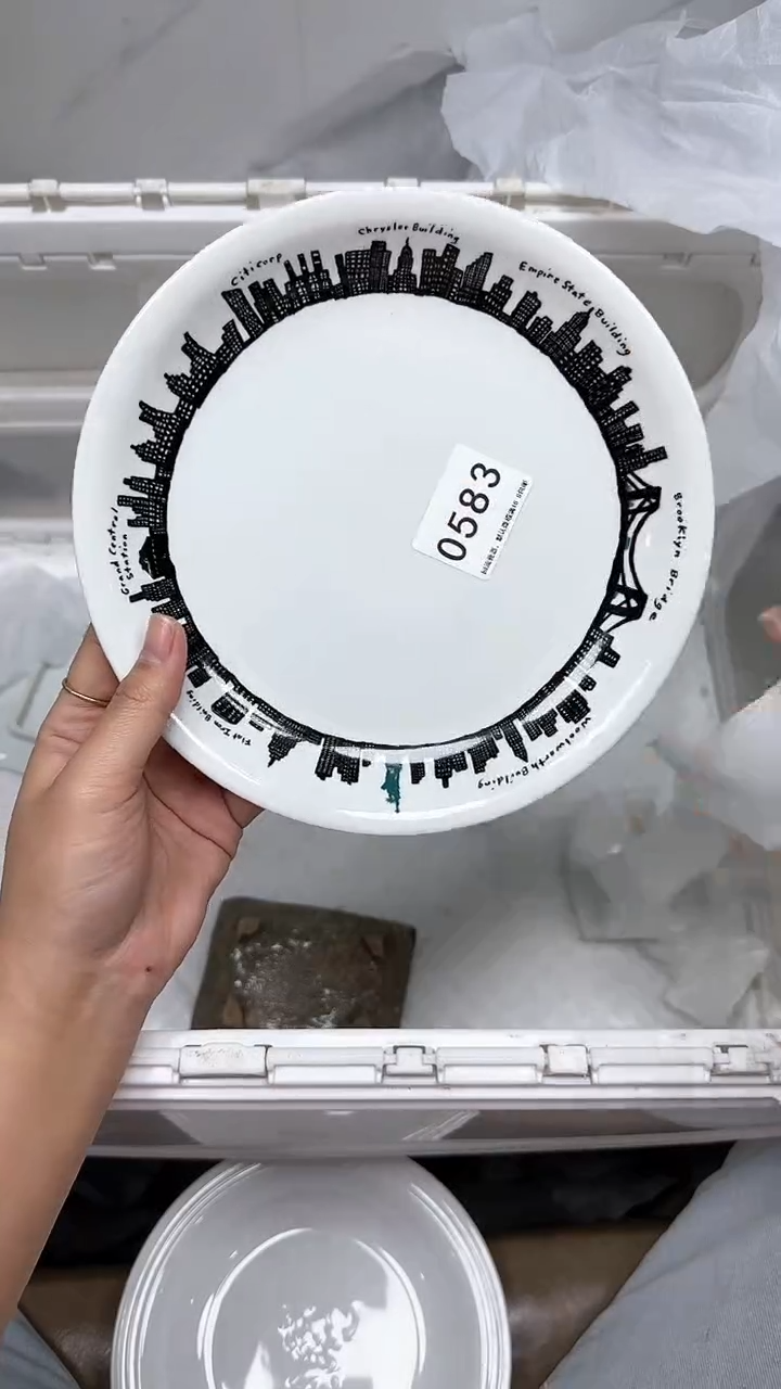 【闪购商品】583回流瓷器默认微瑕，18.8包邮