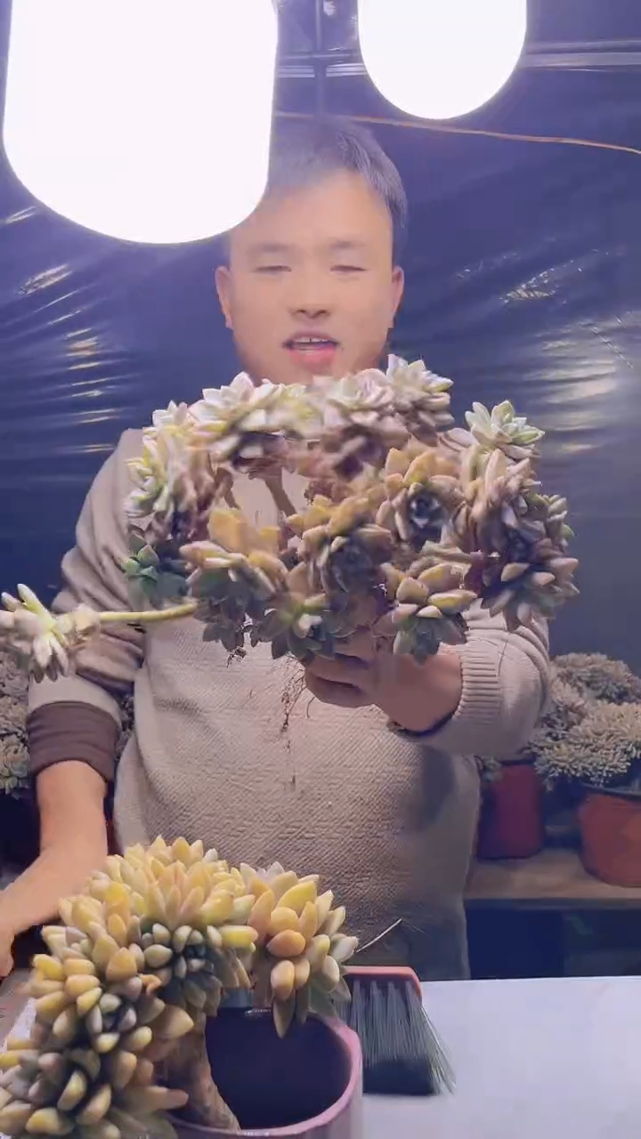 【闪购商品】缀化136