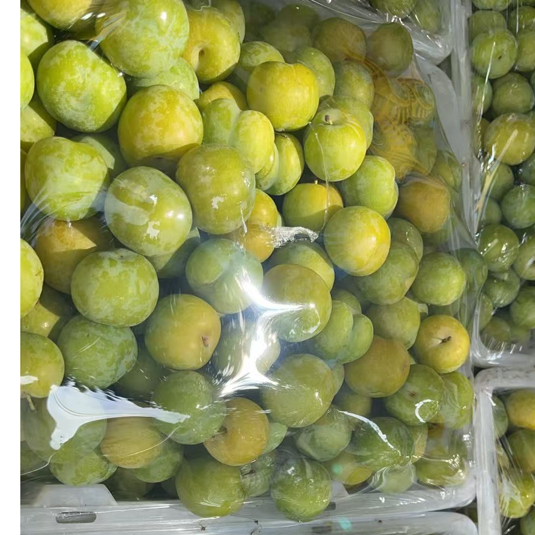 云南贵州江安李子(家乡的味道）