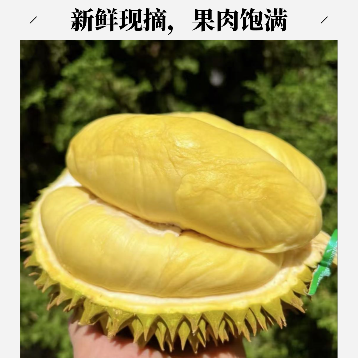 3泰国空运金枕新鲜榴莲核小榴莲同城配送一果一重榴莲同城送金枕泰国