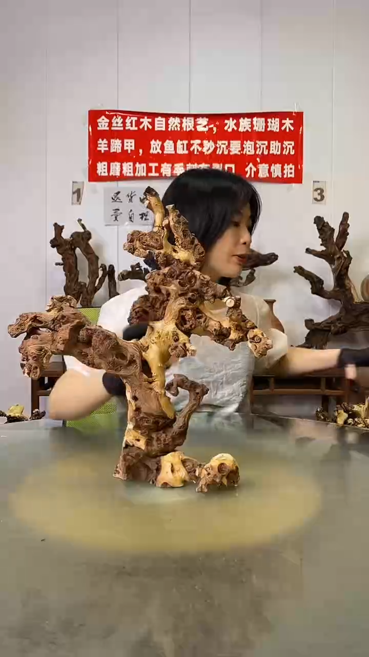 香榧木天***色金丝红木   羊蹄甲