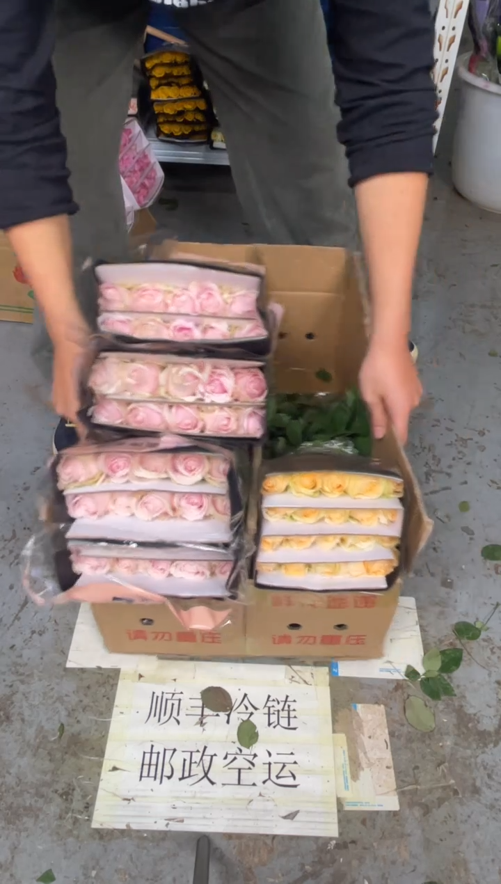 粉红2扎+香槟1扎