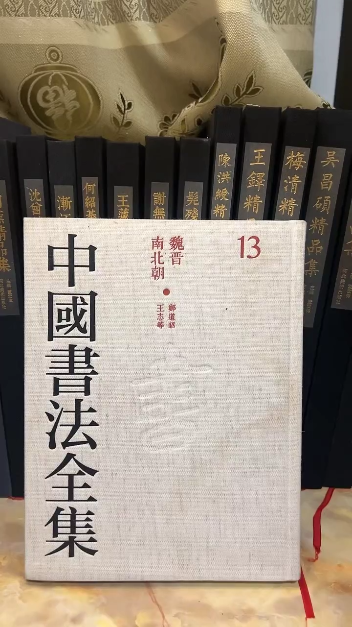 中国书法全集 13 郑道昭，王志