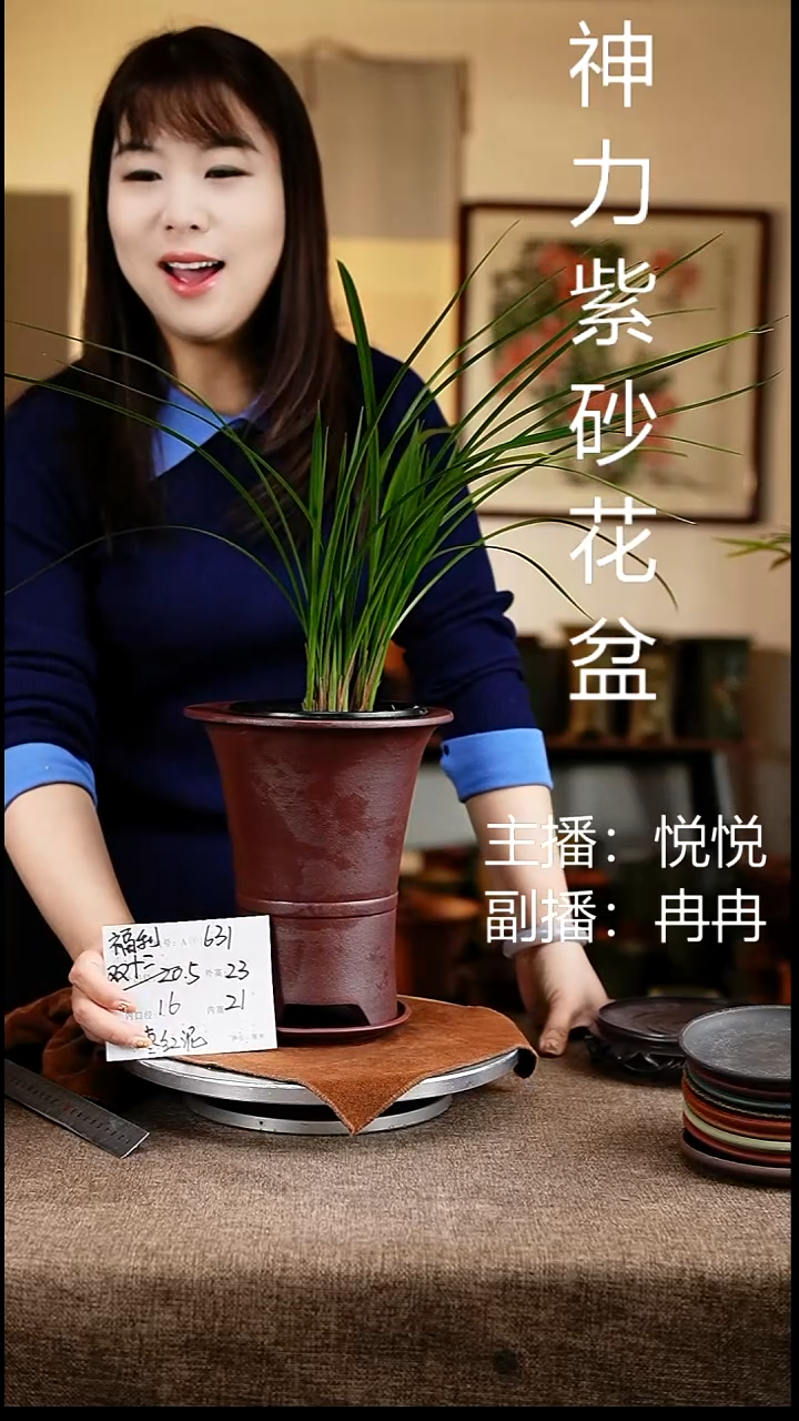 紫砂花盆花卉工艺631+z