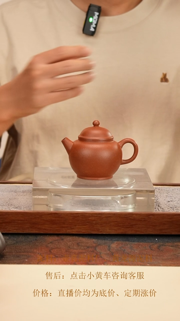 茶壶紫砂 巨轮珠 红降坡 110cc 钱币孔