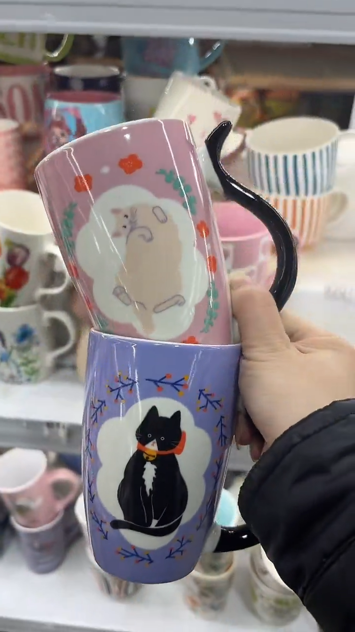 【闪购商品】家湖高温陶瓷杯 微瑕