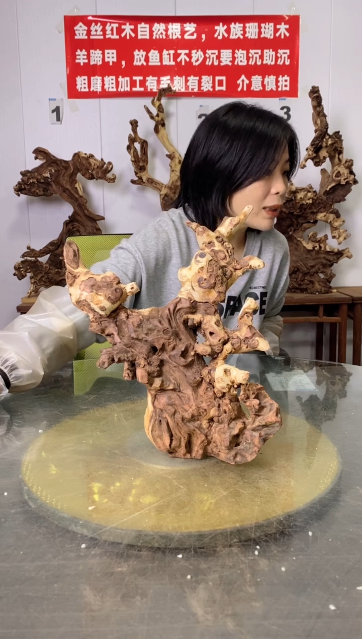 【闪购商品】木20枯树摆件 粗磨粗加工半成品 毛料