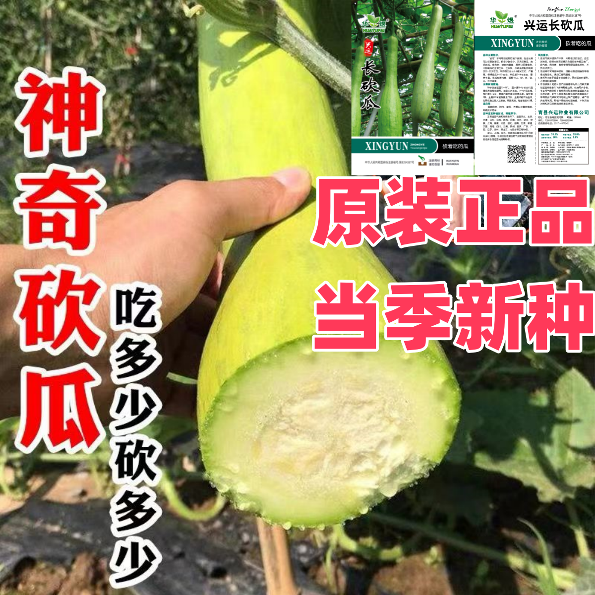  神奇砍瓜种子农家庭院种植爬藤菜籽当季高产新种易种植蔬菜种孑