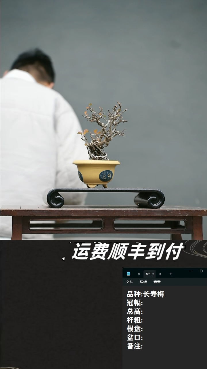 【闪购商品】17  长寿梅