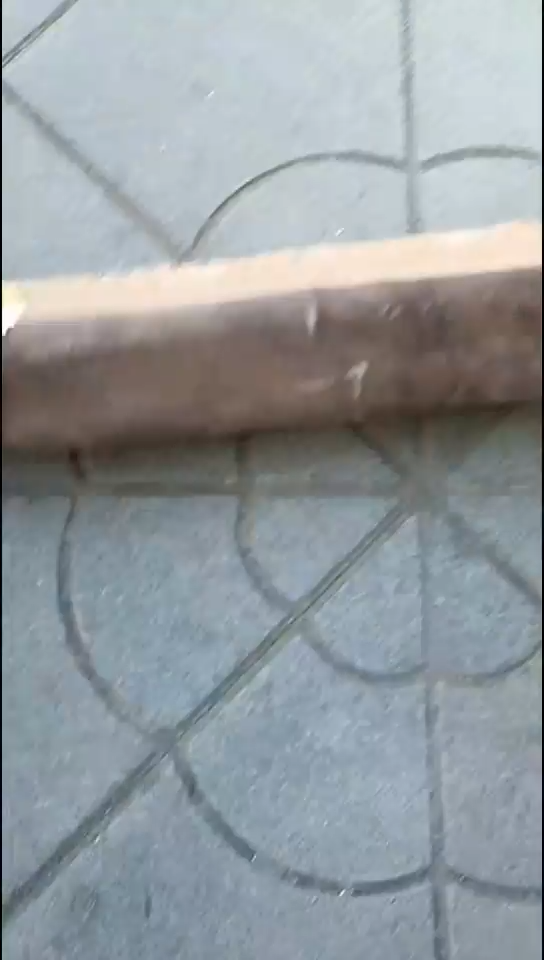 小*三个画000000000000