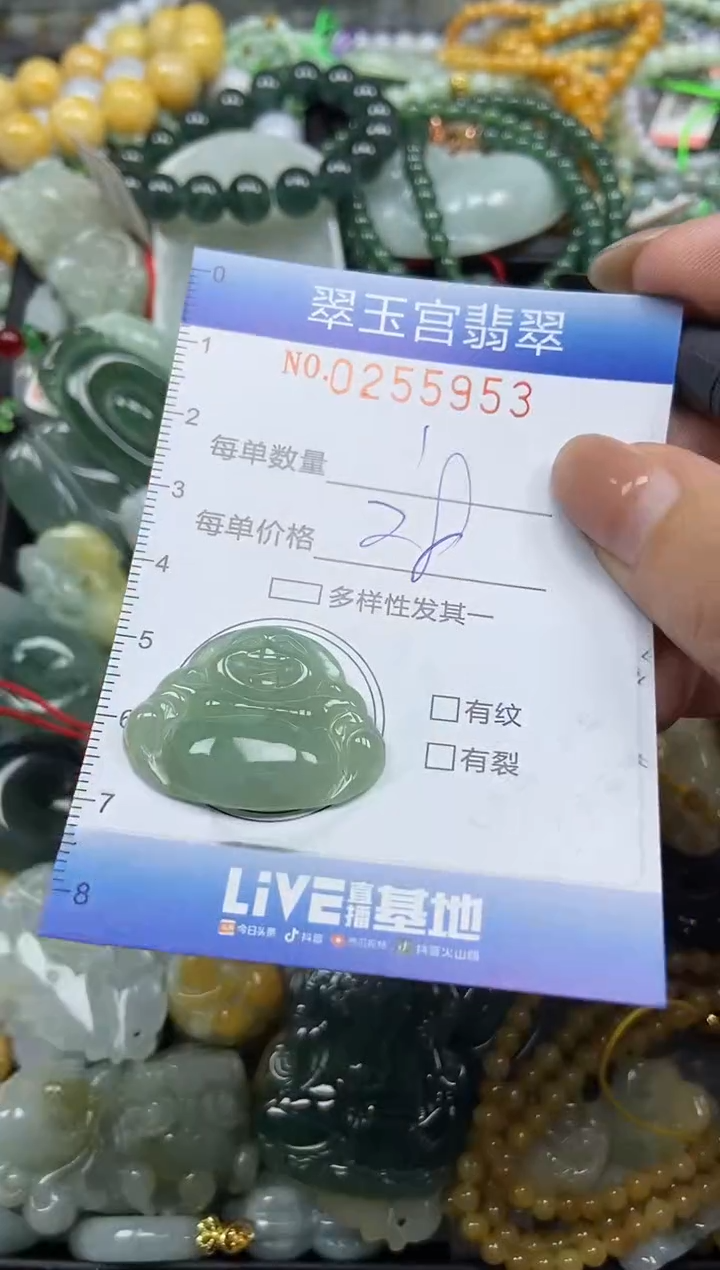 颈饰未镶嵌翡翠闪购C0255953