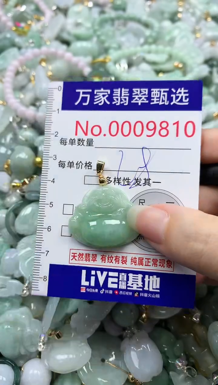 吊坠(不含链)未镶嵌翡翠9810