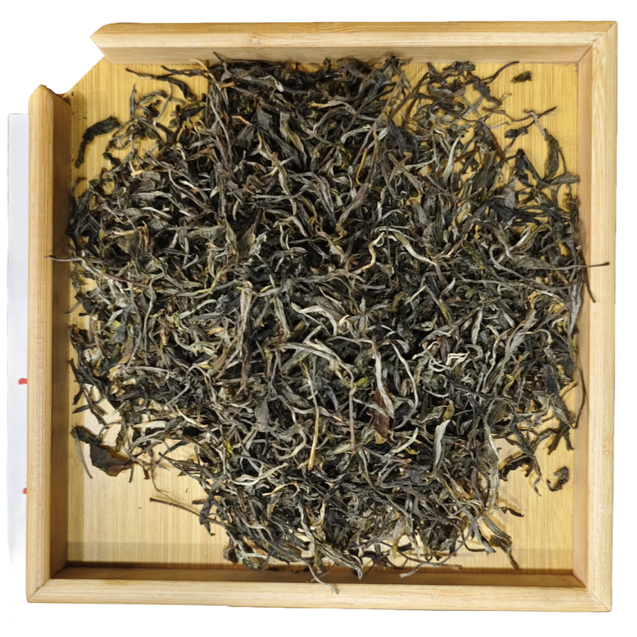 2024年临沧雪林乡古树散生茶 G831 JD215 6.5