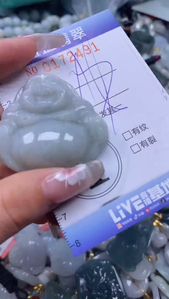 【闪购商品】翡翠颈饰未镶嵌闪购0172491